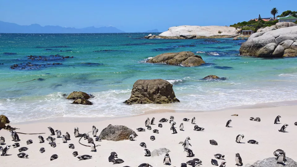 Namibia e Città del Capo