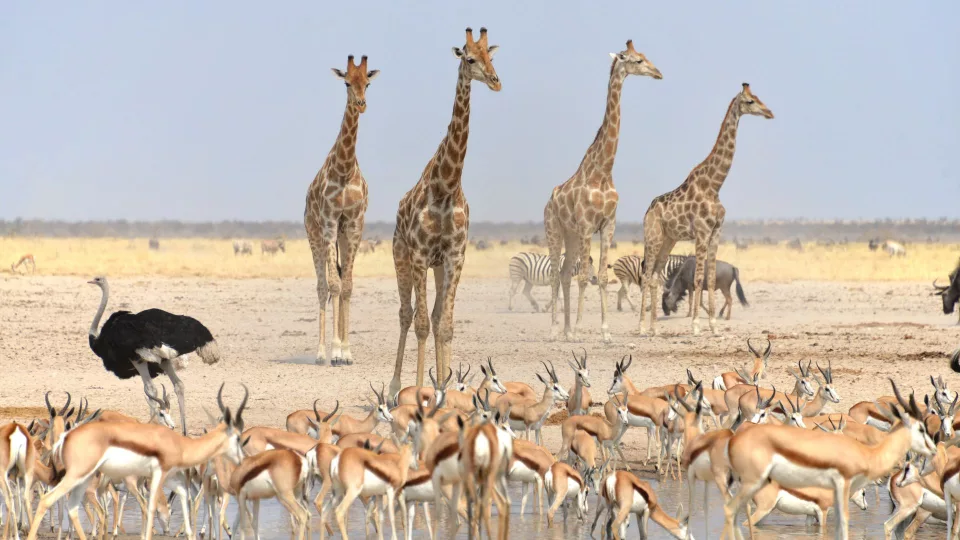 Namibia e Città del Capo