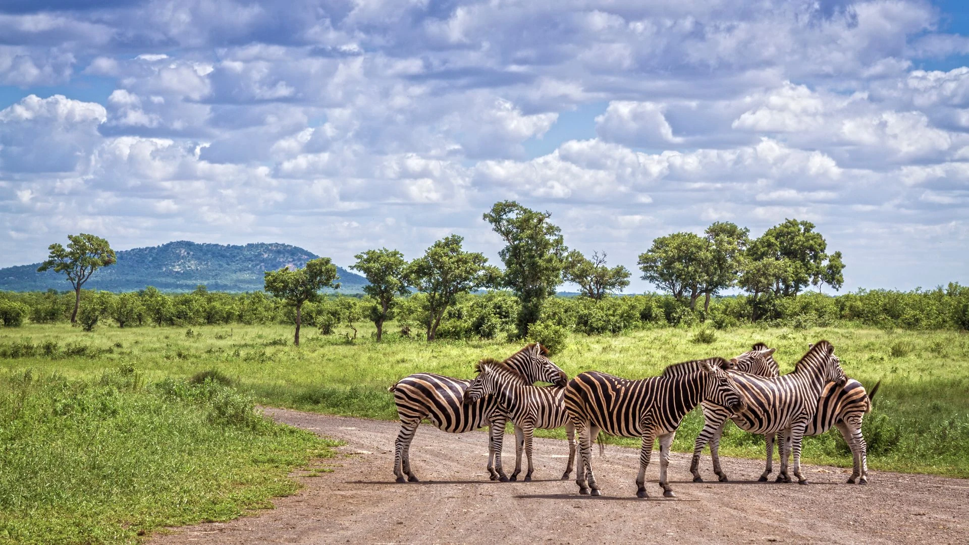 Sudafrica on the road