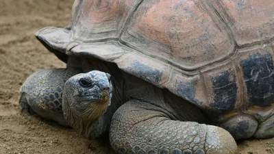 Seychelles: dalla foresta alle spiagge