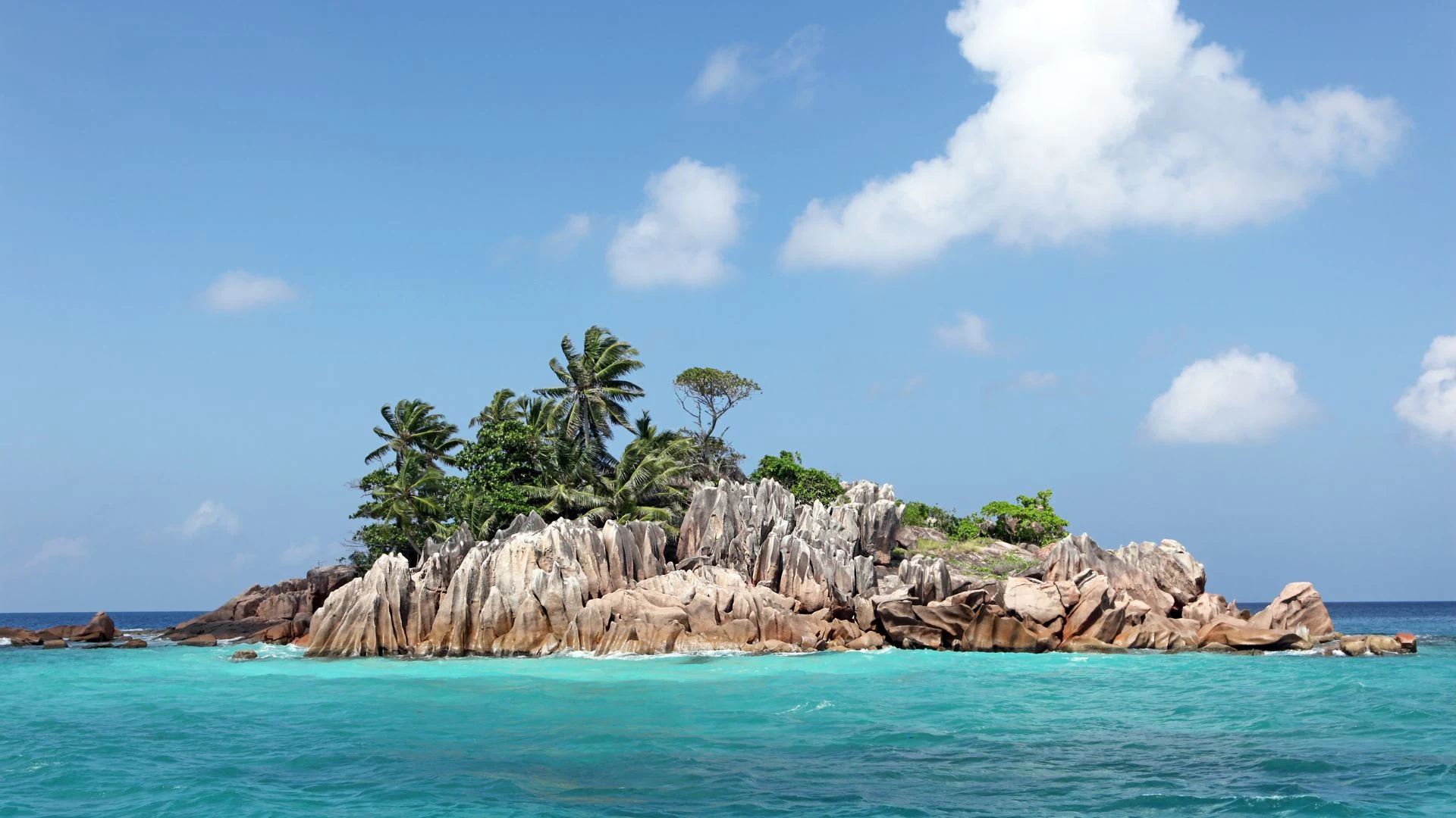 Seychelles: dalla foresta alle spiagge