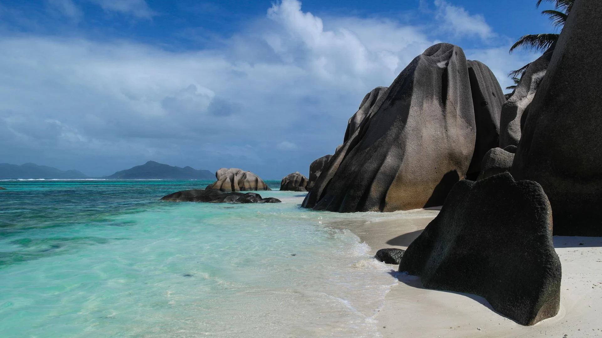Seychelles: dalla foresta alle spiagge