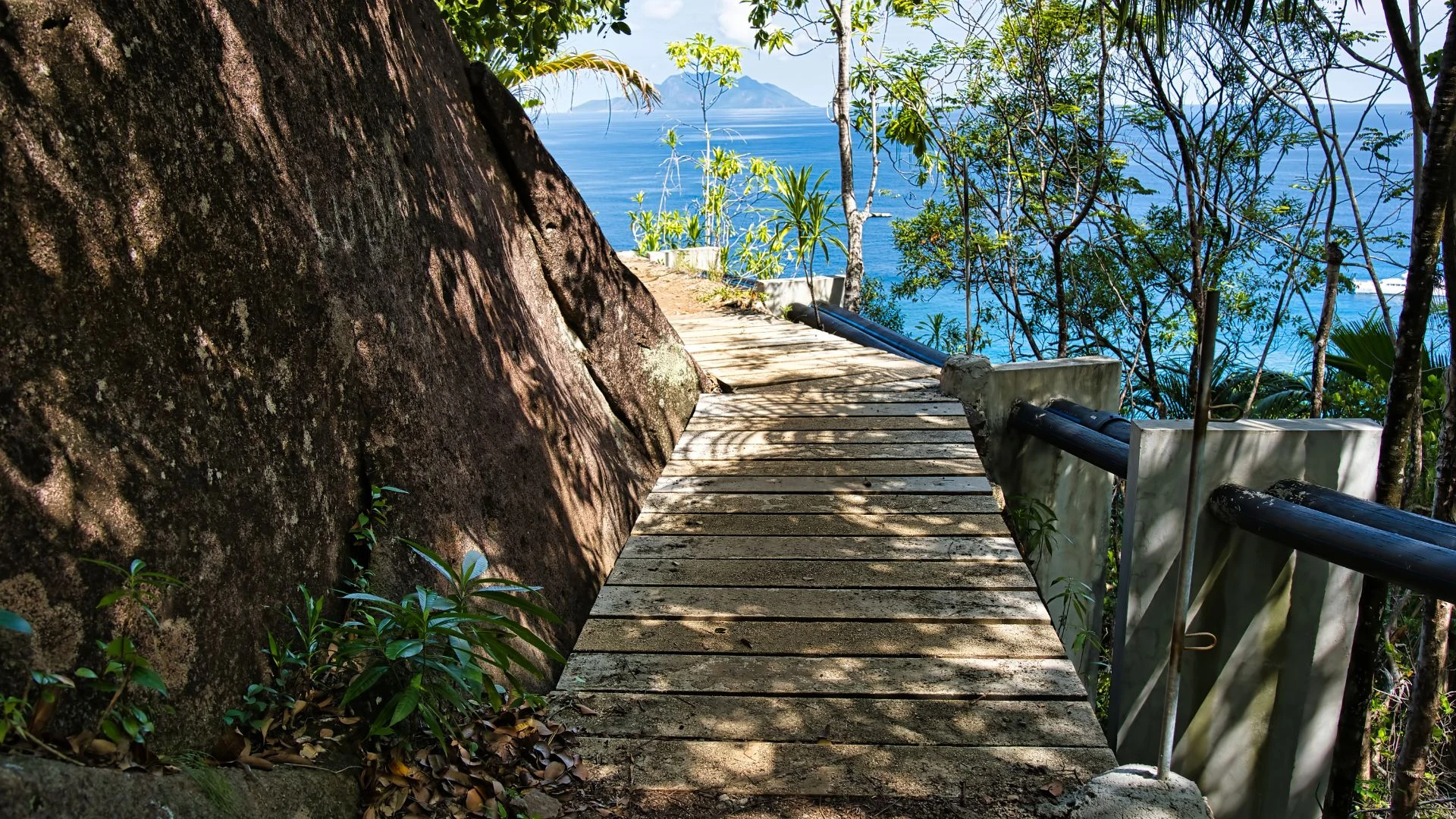 Seychelles: dalla foresta alle spiagge