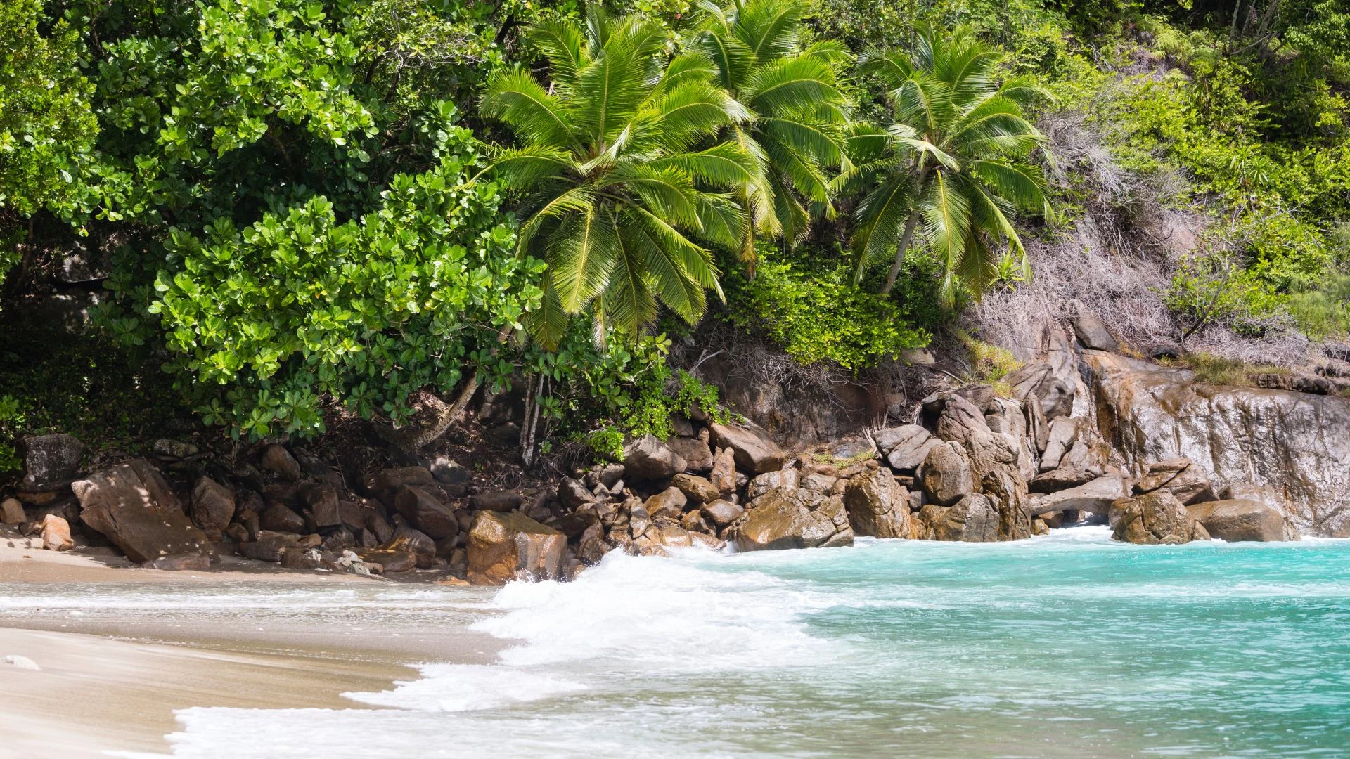 Seychelles: dalla foresta alle spiagge