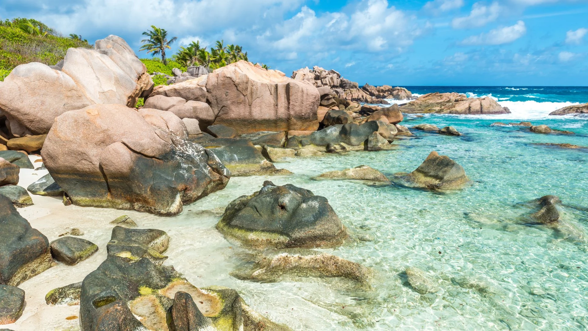 Seychelles: dalla foresta alle spiagge