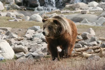 Usa: da Yellowstone a New York