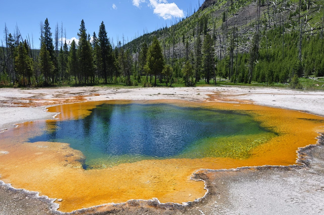 Usa: da Yellowstone a New York
