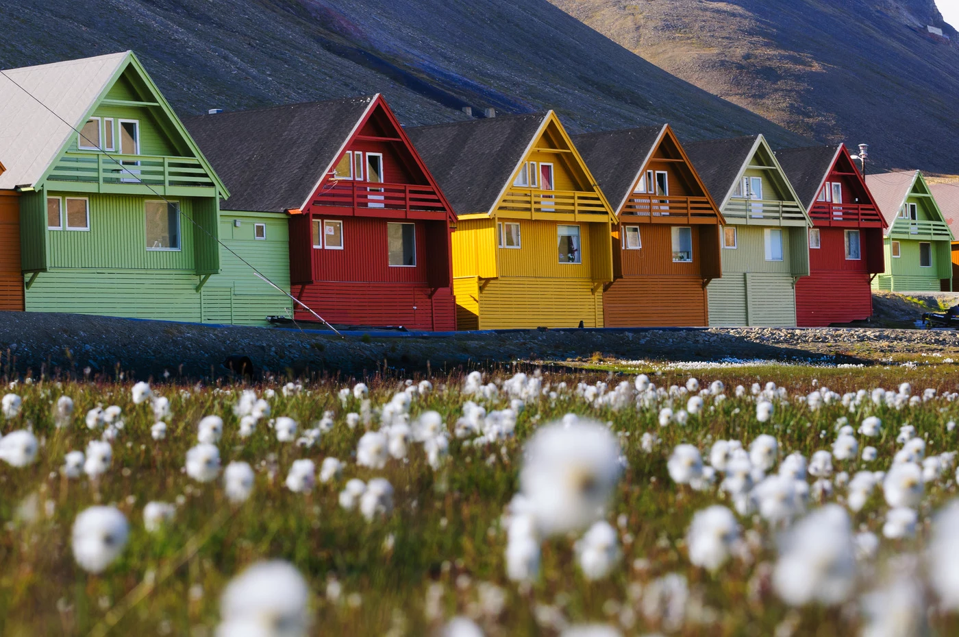Svalbard: al Polo Nord d’estate
