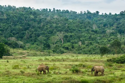 Thai adventure: i parchi del sud