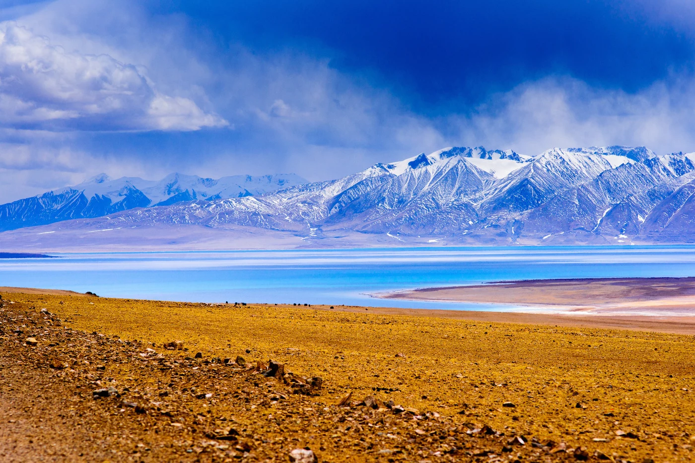 Alla scoperta del Tibet