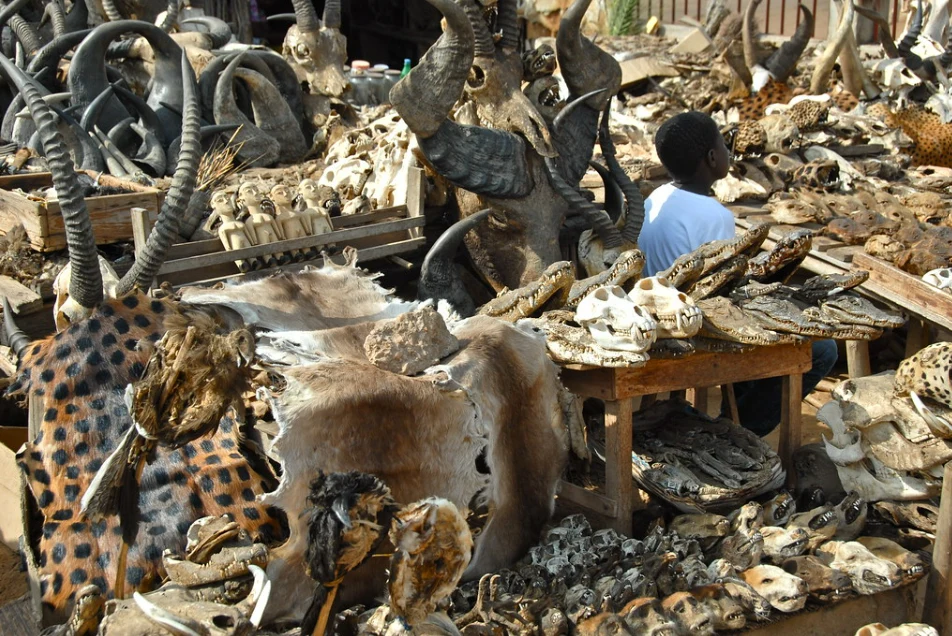 Togo e Benin: festival delle maschere e vodoo