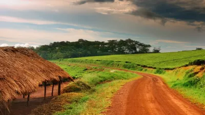 Uganda: Capodanno con i gorilla