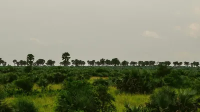 Uganda: Capodanno con i gorilla