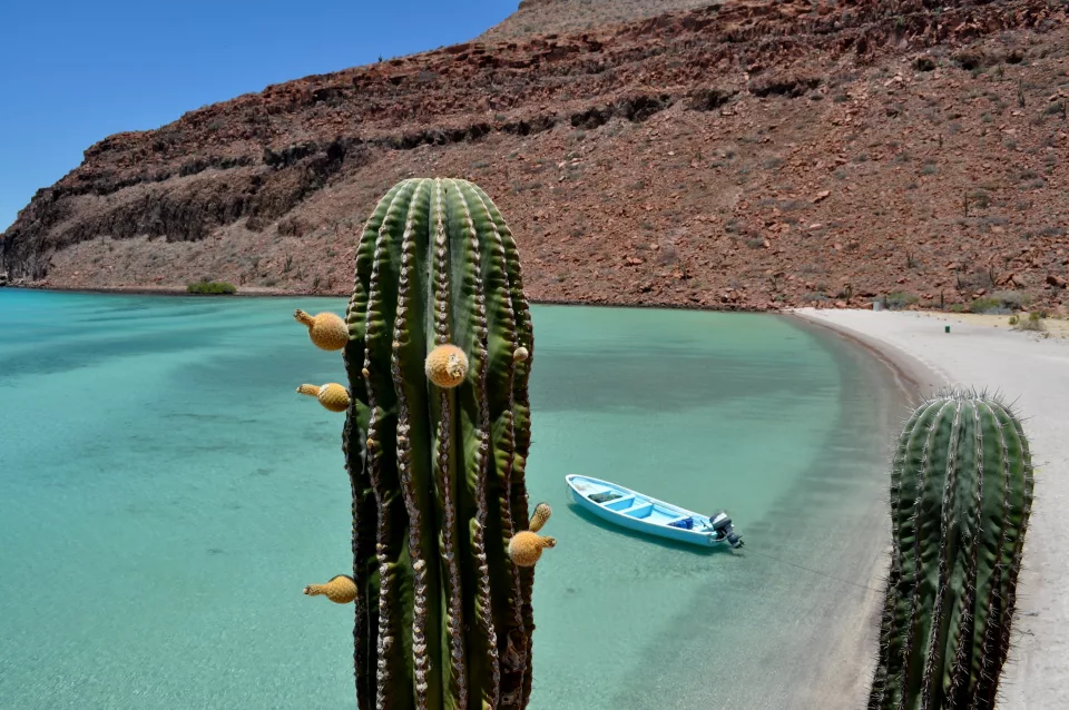 Messico: Baja California del Sur