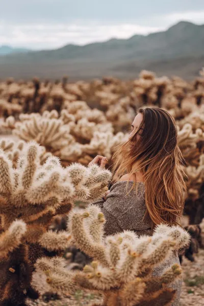 Joshua Tree n.p.