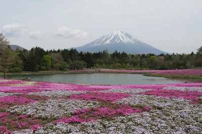 Monte Fuji