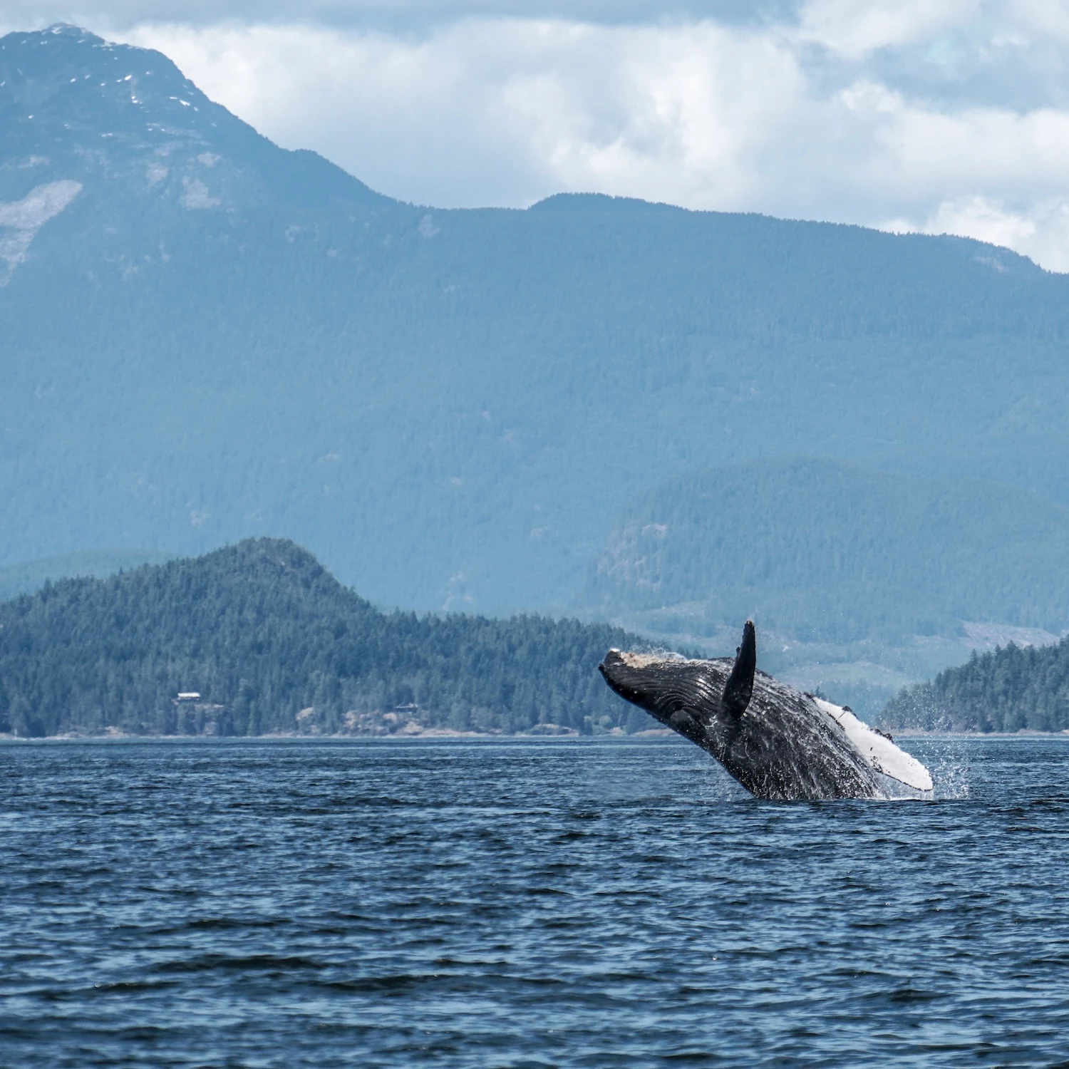 Canada: Alberta e British Columbia