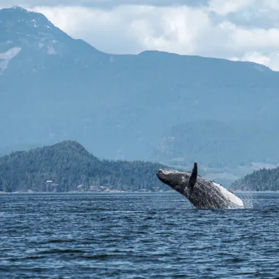 Canada: Alberta e British Columbia