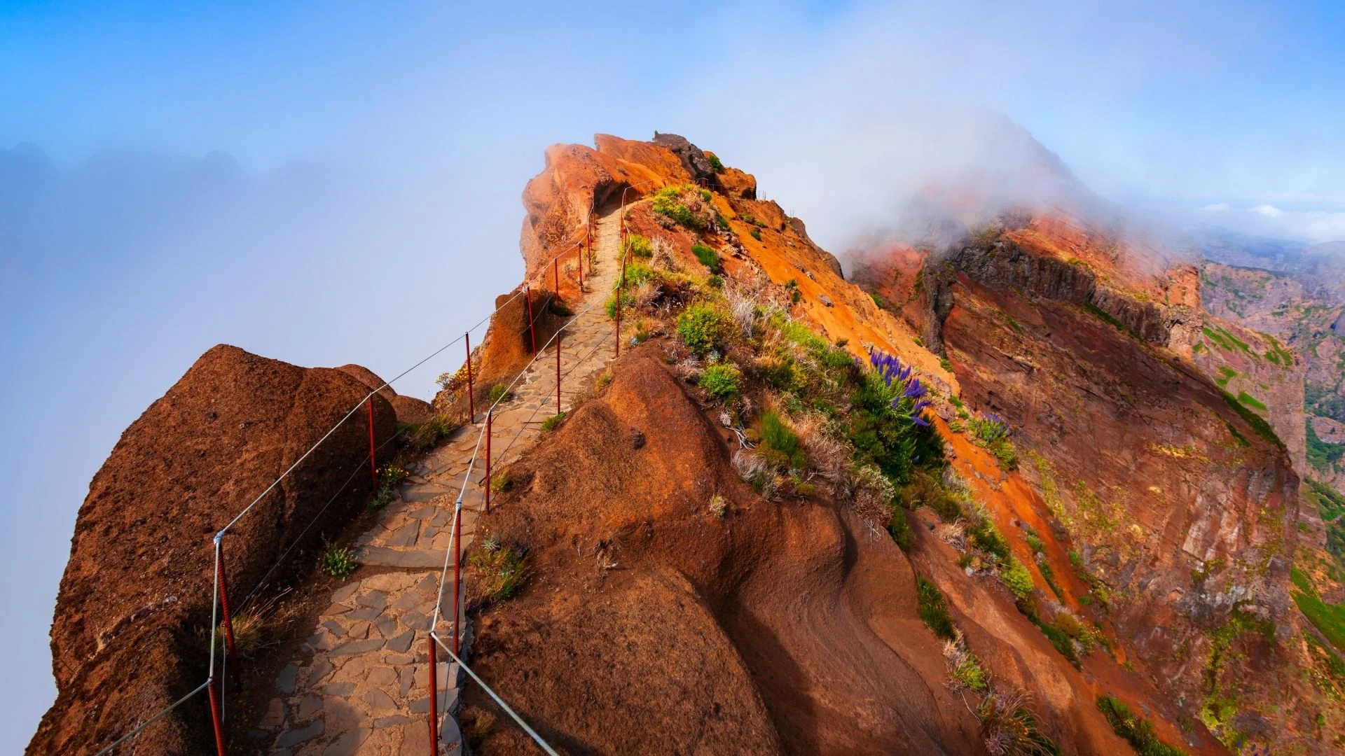 Madeira Active