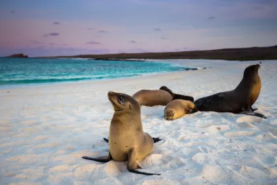 Ecuador e le selvagge Galapagos