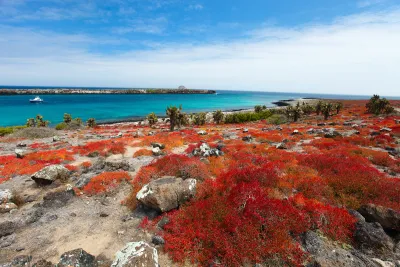 Ecuador e le selvagge Galapagos