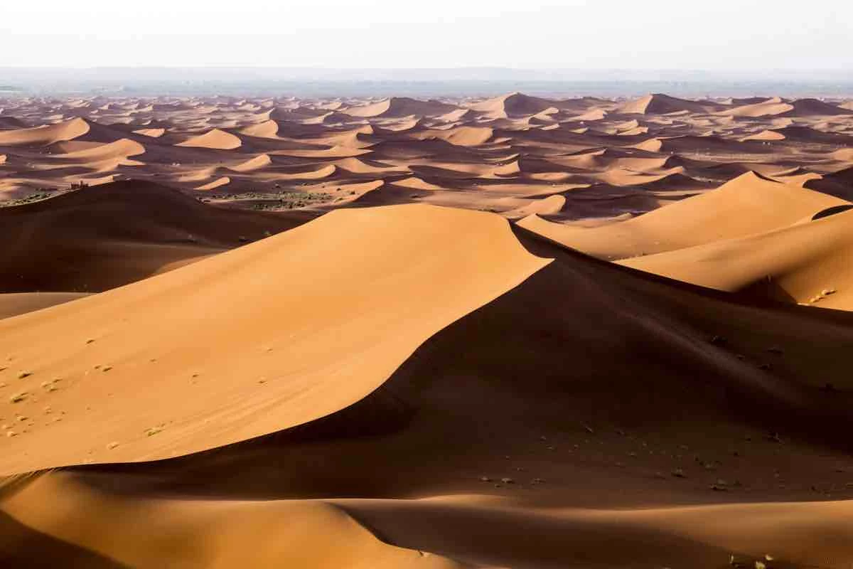 Deserto del Sahara
