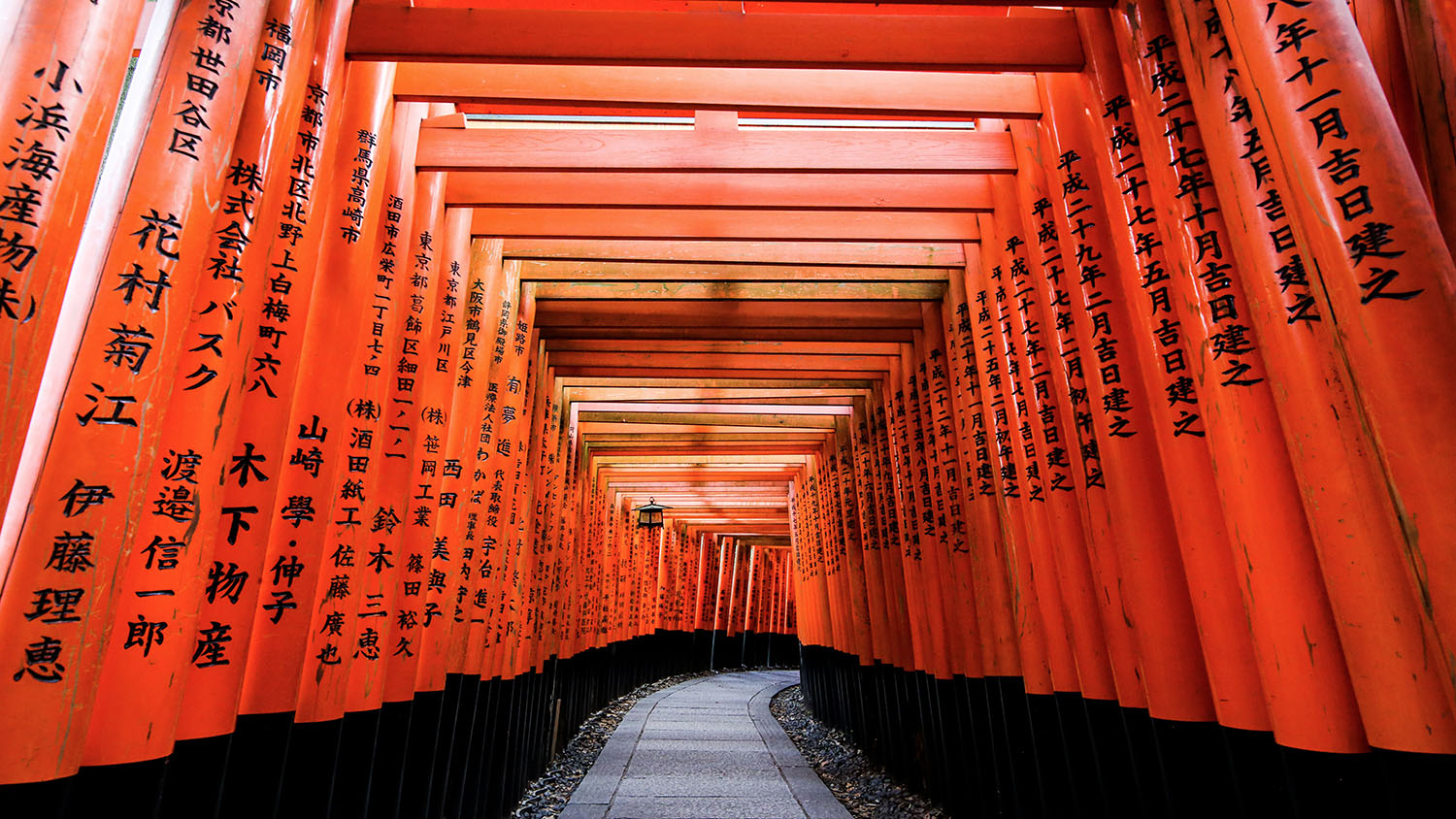 Fushimi Inari Fushimi Inari