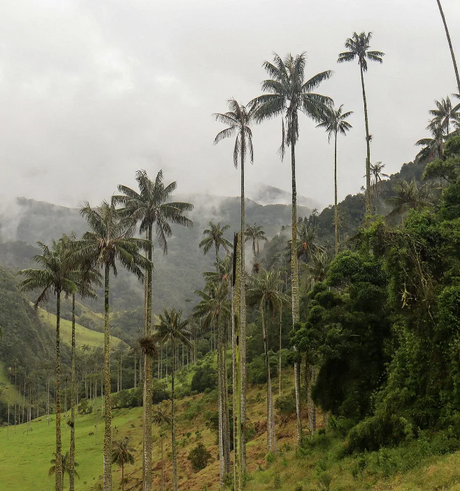 Avventura in Colombia e Amazzonia