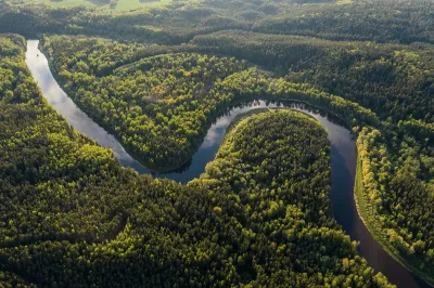 Foresta Amazzonica