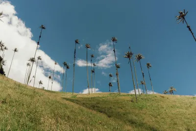 Valle de Cocora
