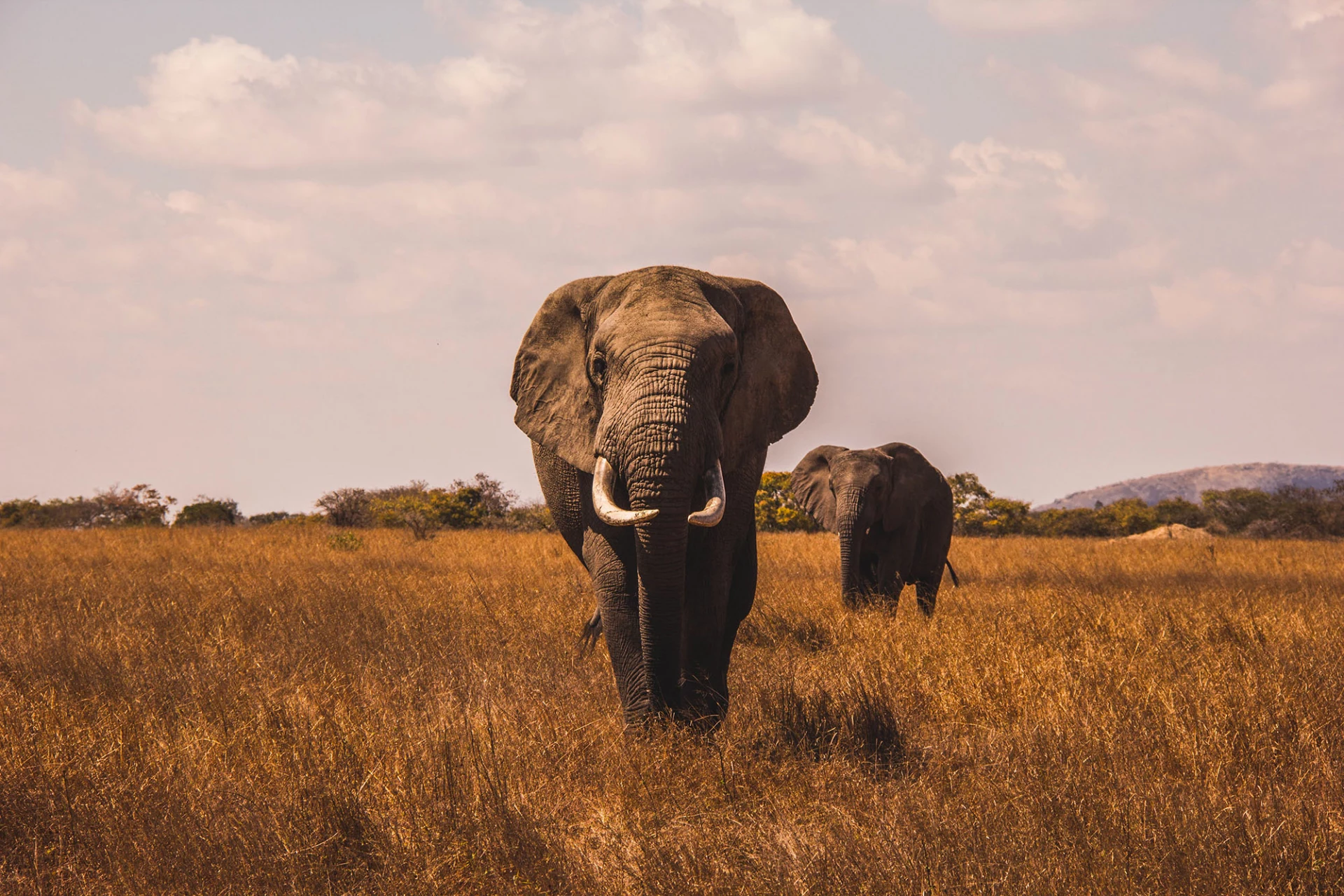 Etosha National Park
