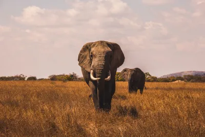 Etosha National Park