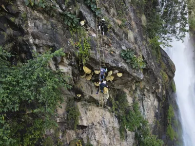 Nepal: Honey Hunters