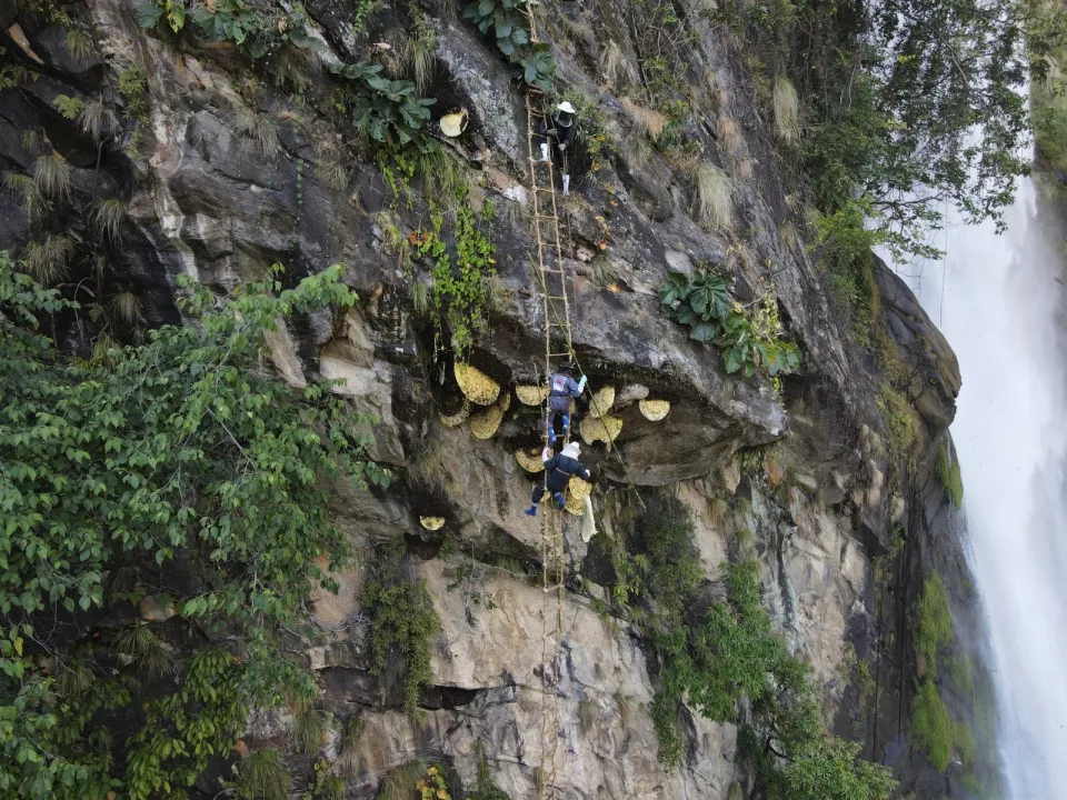 Nepal: Honey Hunters