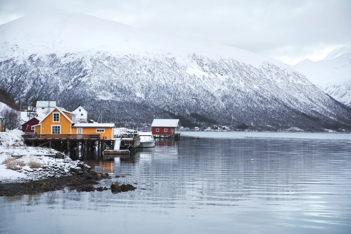 Norvegia: nuotiamo con le orche
