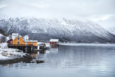 Norvegia: nuotiamo con le orche