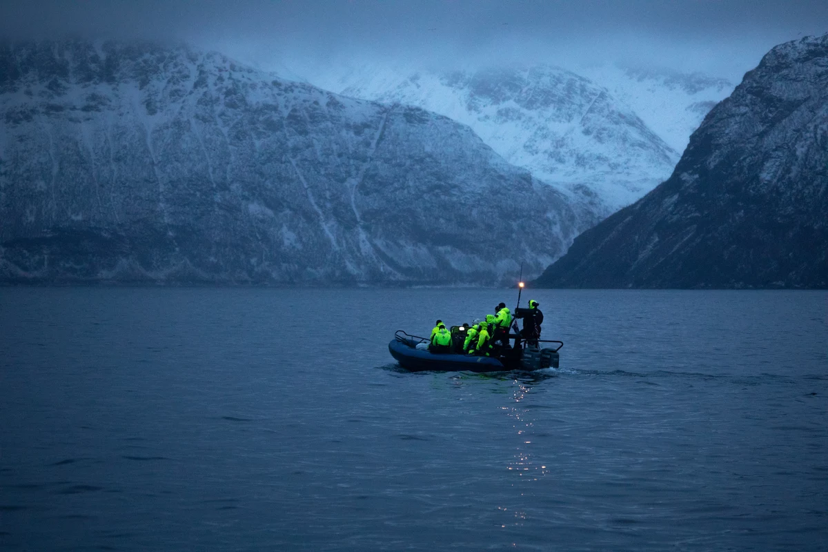 Norvegia: nuotiamo con le orche