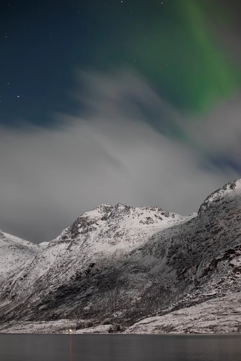 Norvegia: nuotiamo con le orche