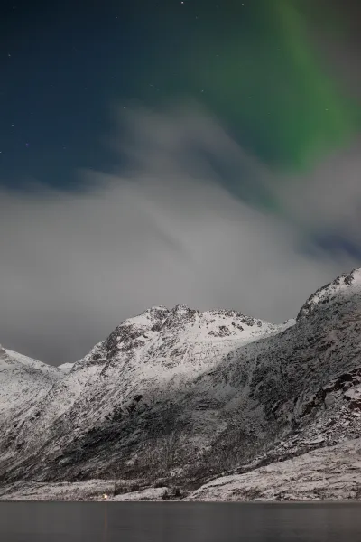 Norvegia: nuotiamo con le orche