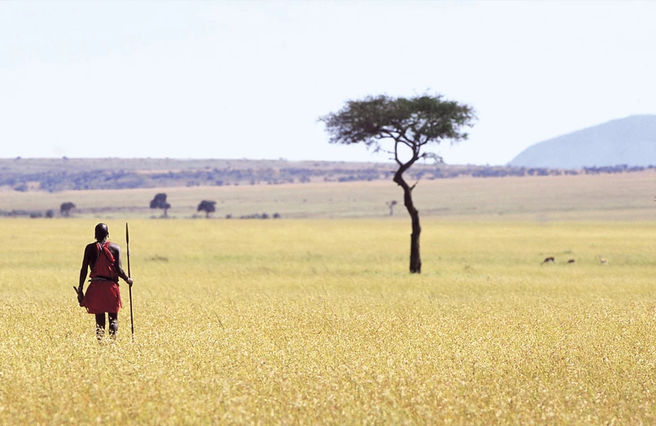 Safari in Kenya