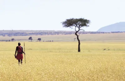 Safari in Kenya