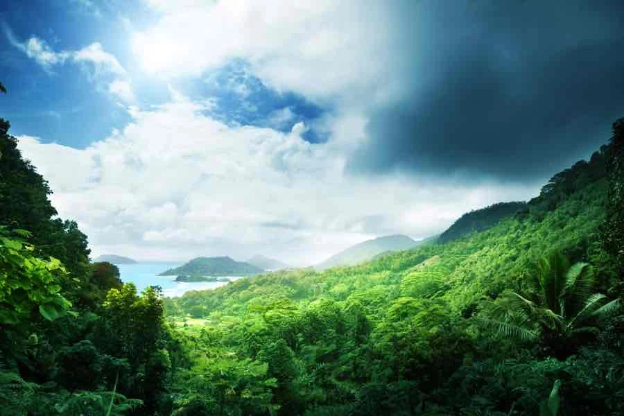 La natura selvaggia delle riserve naturali di Praslin
