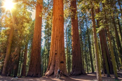 Usa: i grandi parchi dell'Ovest